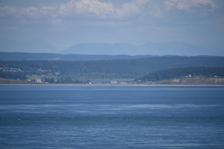 Filename=DSC_1881.JPG
Filesize=15826KiB
Dimensions=7360x4912
Date added=Jul 12, 2020 DSC_1881.JPG