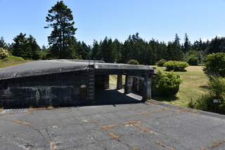 Filename=DSC_1882.JPG
Filesize=21537KiB
Dimensions=7360x4912
Date added=Jul 12, 2020 DSC_1882.JPG