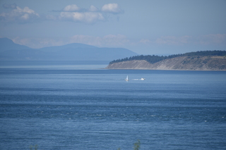 Filename=DSC_1884.JPG
Filesize=15848KiB
Dimensions=7360x4912
Date added=Jul 12, 2020 DSC_1884.JPG