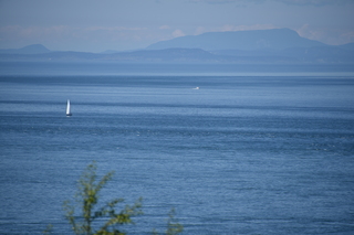 Filename=DSC_1886.JPG
Filesize=16769KiB
Dimensions=7360x4912
Date added=Jul 12, 2020 DSC_1886.JPG