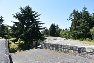 Filename=DSC_1888.JPG
Filesize=22194KiB
Dimensions=7360x4912
Date added=Jul 12, 2020 DSC_1888.JPG