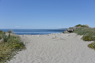 Filename=DSC_1914.JPG
Filesize=19738KiB
Dimensions=7360x4912
Date added=Jul 12, 2020 DSC_1914.JPG