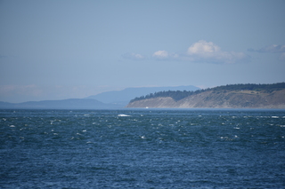 Filename=DSC_1923.JPG
Filesize=16038KiB
Dimensions=7360x4912
Date added=Jul 12, 2020 DSC_1923.JPG