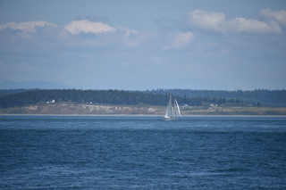 Filename=DSC_1928.JPG
Filesize=15912KiB
Dimensions=7360x4912
Date added=Jul 12, 2020 DSC_1928.JPG