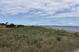 Filename=DSC_1943.JPG
Filesize=20290KiB
Dimensions=7360x4912
Date added=Jul 12, 2020 DSC_1943.JPG