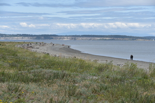 Filename=DSC_1945.JPG
Filesize=19469KiB
Dimensions=7360x4912
Date added=Jul 12, 2020 DSC_1945.JPG