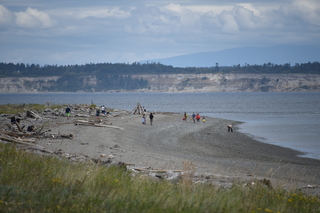 Filename=DSC_1946.JPG
Filesize=16368KiB
Dimensions=7360x4912
Date added=Jul 12, 2020 DSC_1946.JPG