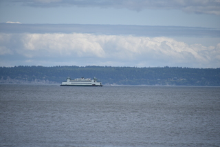 Filename=DSC_1947.JPG
Filesize=15543KiB
Dimensions=7360x4912
Date added=Jul 12, 2020 DSC_1947.JPG