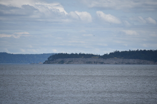 Filename=DSC_1948.JPG
Filesize=15834KiB
Dimensions=7360x4912
Date added=Jul 12, 2020 DSC_1948.JPG