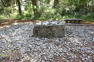 Filename=DSC_1954.JPG
Filesize=23909KiB
Dimensions=7360x4912
Date added=Jul 12, 2020 DSC_1954.JPG