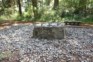 Filename=DSC_1955.JPG
Filesize=24771KiB
Dimensions=7360x4912
Date added=Jul 12, 2020 DSC_1955.JPG