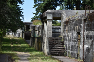 Filename=DSC_1965.JPG
Filesize=21051KiB
Dimensions=7360x4912
Date added=Jul 12, 2020 DSC_1965.JPG