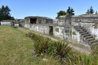 Filename=DSC_1974.JPG
Filesize=24360KiB
Dimensions=7360x4912
Date added=Jul 12, 2020 DSC_1974.JPG