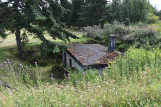 Filename=DSC_1984.JPG
Filesize=25834KiB
Dimensions=7360x4912
Date added=Jul 12, 2020 DSC_1984.JPG