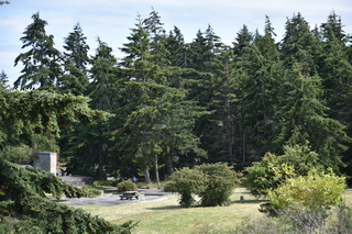 Filename=DSC_1999.JPG
Filesize=23885KiB
Dimensions=7360x4912
Date added=Jul 12, 2020 DSC_1999.JPG