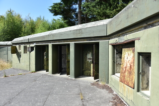 Filename=DSC_2001.JPG
Filesize=22860KiB
Dimensions=7360x4912
Date added=Jul 12, 2020 DSC_2001.JPG