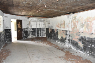 Filename=DSC_2006.JPG
Filesize=18251KiB
Dimensions=7360x4912
Date added=Jul 12, 2020 DSC_2006.JPG