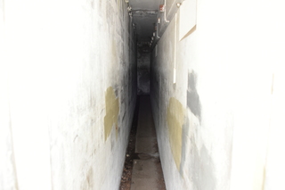 Filename=DSC_2010.JPG
Filesize=9429KiB
Dimensions=7360x4912
Date added=Jul 12, 2020 DSC_2010.JPG