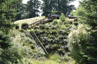 Filename=DSC_2019.JPG
Filesize=27912KiB
Dimensions=7360x4912
Date added=Jul 12, 2020 DSC_2019.JPG