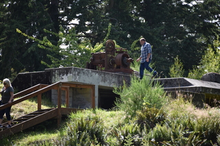 Filename=DSC_2020.JPG
Filesize=21055KiB
Dimensions=7360x4912
Date added=Jul 12, 2020 DSC_2020.JPG