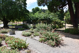 Filename=DSC_2031.JPG
Filesize=28005KiB
Dimensions=7360x4912
Date added=Aug 02, 2020 DSC_2031.JPG