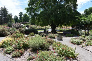 Filename=DSC_2032.JPG
Filesize=27708KiB
Dimensions=7360x4912
Date added=Aug 02, 2020 DSC_2032.JPG