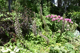 Filename=DSC_2036.JPG
Filesize=25814KiB
Dimensions=7360x4912
Date added=Aug 02, 2020 DSC_2036.JPG