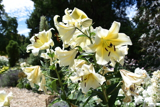 Filename=DSC_2045.JPG
Filesize=15941KiB
Dimensions=7360x4912
Date added=Aug 02, 2020 DSC_2045.JPG