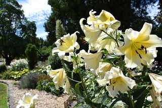 Filename=DSC_2046.JPG
Filesize=17394KiB
Dimensions=7360x4912
Date added=Aug 02, 2020 DSC_2046.JPG