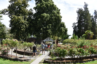 Filename=DSC_2047.JPG
Filesize=25440KiB
Dimensions=7360x4912
Date added=Aug 02, 2020 DSC_2047.JPG