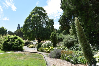 Filename=DSC_2048.JPG
Filesize=25571KiB
Dimensions=7360x4912
Date added=Aug 02, 2020 DSC_2048.JPG