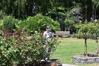 Filename=DSC_2051.JPG
Filesize=24263KiB
Dimensions=7360x4912
Date added=Aug 02, 2020 DSC_2051.JPG