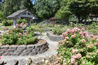 Filename=DSC_2056.JPG
Filesize=28957KiB
Dimensions=7360x4912
Date added=Aug 02, 2020 DSC_2056.JPG