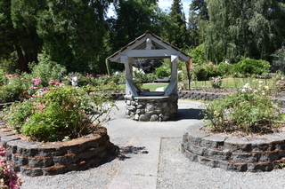 Filename=DSC_2057.JPG
Filesize=27980KiB
Dimensions=7360x4912
Date added=Aug 02, 2020 DSC_2057.JPG