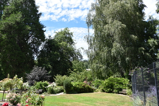 Filename=DSC_2061.JPG
Filesize=27193KiB
Dimensions=7360x4912
Date added=Aug 02, 2020 DSC_2061.JPG