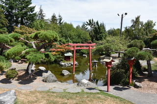 Filename=DSC_2071.JPG
Filesize=26542KiB
Dimensions=7360x4912
Date added=Aug 02, 2020 DSC_2071.JPG