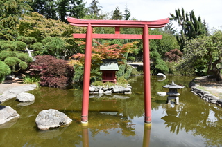 Filename=DSC_2072.JPG
Filesize=24991KiB
Dimensions=7360x4912
Date added=Aug 02, 2020 DSC_2072.JPG