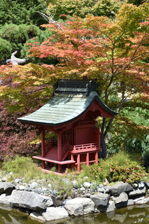 Filename=DSC_2075.JPG
Filesize=23658KiB
Dimensions=4912x7360
Date added=Aug 02, 2020 DSC_2075.JPG