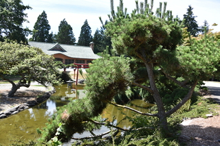 Filename=DSC_2080.JPG
Filesize=26563KiB
Dimensions=7360x4912
Date added=Aug 02, 2020 DSC_2080.JPG