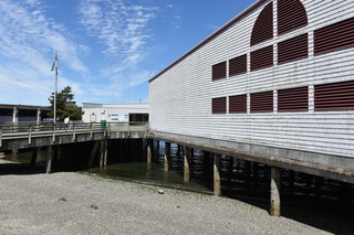 Filename=DSC_2084.JPG
Filesize=21950KiB
Dimensions=7360x4912
Date added=Aug 02, 2020 DSC_2084.JPG