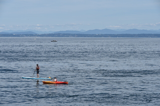 Filename=DSC_2088.JPG
Filesize=18848KiB
Dimensions=7360x4912
Date added=Aug 02, 2020 DSC_2088.JPG