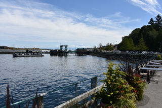 Filename=DSC_2094.JPG
Filesize=19327KiB
Dimensions=7360x4912
Date added=Aug 02, 2020 DSC_2094.JPG