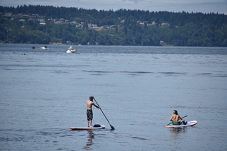 Filename=DSC_2100.JPG
Filesize=17012KiB
Dimensions=7360x4912
Date added=Aug 02, 2020 DSC_2100.JPG