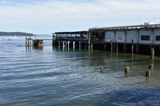 Filename=DSC_2101.JPG
Filesize=18431KiB
Dimensions=7360x4912
Date added=Aug 02, 2020 DSC_2101.JPG