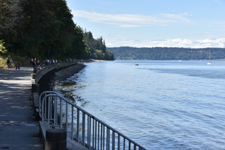 Filename=DSC_2102.JPG
Filesize=19667KiB
Dimensions=7360x4912
Date added=Aug 02, 2020 DSC_2102.JPG