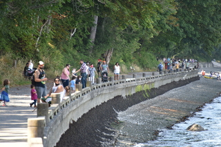 Filename=DSC_2103.JPG
Filesize=20023KiB
Dimensions=7360x4912
Date added=Aug 02, 2020 DSC_2103.JPG