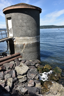 Filename=DSC_2108.JPG
Filesize=22273KiB
Dimensions=4912x7360
Date added=Aug 02, 2020 DSC_2108.JPG