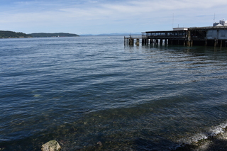 Filename=DSC_2110.JPG
Filesize=19907KiB
Dimensions=7360x4912
Date added=Aug 02, 2020 DSC_2110.JPG