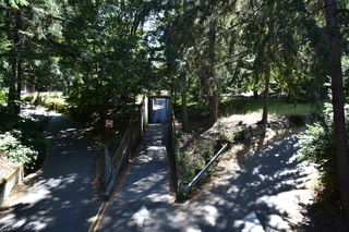 Filename=DSC_2112.JPG
Filesize=22918KiB
Dimensions=7360x4912
Date added=Aug 02, 2020 DSC_2112.JPG