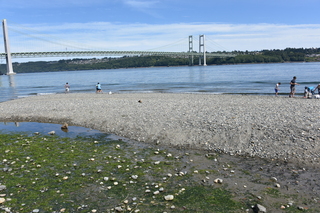 Filename=DSC_2118.JPG
Filesize=24990KiB
Dimensions=7360x4912
Date added=Aug 02, 2020 DSC_2118.JPG